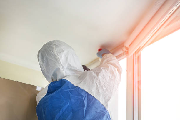  Milwaukee, WI Mold Removal Services Pros