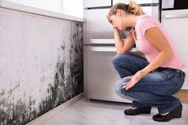 Best Real Estate Mold Inspection  in Milwaukee, WI